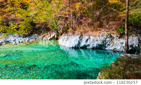 The Agana valley in autumn 118230257