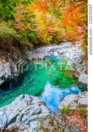 The Agana valley in autumn 118230267