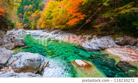 阿加尼亞山谷在秋天 118230272