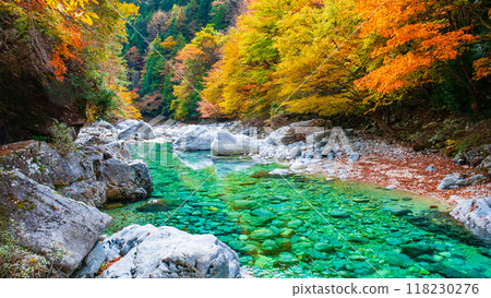 The Agana valley in autumn The Agana valley in autumn 118230276