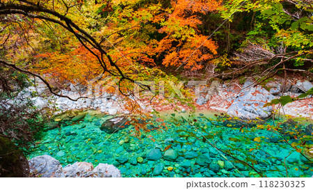 The Agana valley in autumn 118230325