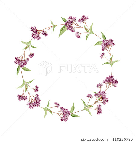 Fujibakama Autumn Flower Frame Wreath Watercolor Illustration 118230789