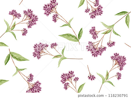 Fujibakama Autumn Flower Background Pattern Watercolor Illustration 118230791