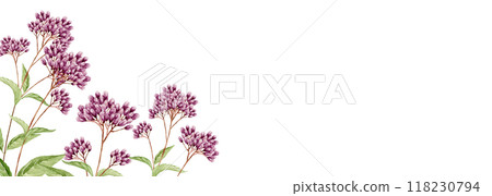 紫藤袴秋花背景框架水彩插圖 紫藤袴秋花背景框架水彩插圖 118230794