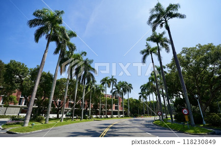 National Taiwan University (Taipei City, Taiwan) National Taiwan University (Taipei City, Taiwan) 118230849