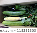Summer vegetables harvested 118231303
