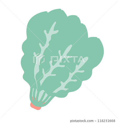 菠菜圖 菠菜圖 118231608