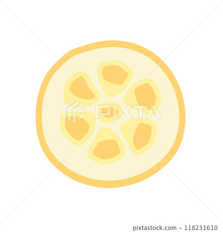 Lotus root illustration Lotus root illustration 118231610