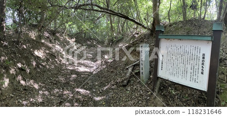 松尾芭蕉的《伊賀之城坂》 松尾芭蕉的《伊賀之城坂》 118231646