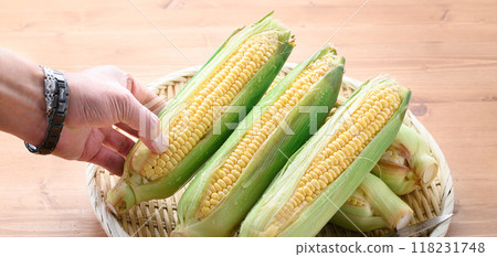 Harvested corn 118231748