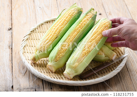 Harvested corn Harvested corn 118231755