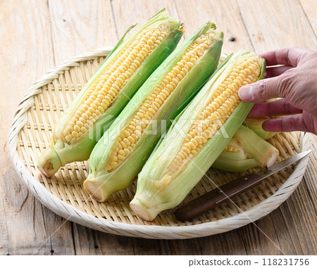 收穫的玉米 118231756