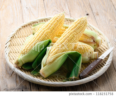 收穫的玉米 118231758