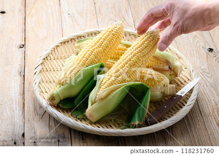 Harvested corn 118231760