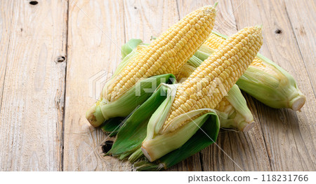 收穫的玉米 收穫的玉米 118231766
