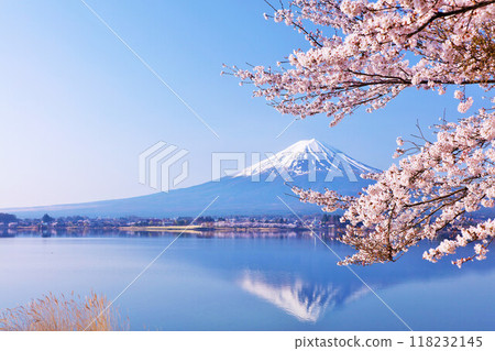 日本的春天富士和櫻花 日本的春天富士和櫻花 118232145