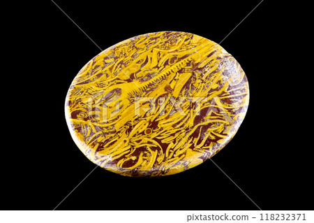 Elephant Skin Jasper Earth History 118232371