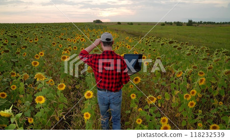 man farmer working laptop sunset sunflower field, business farmer, digital laptop, agriculture sunflower, rural business connectivity, field technology application, tech-savvy farmer working, farmer man farmer working laptop sunset sunflower field, business farmer, digital laptop, agriculture sunflower, rural business connectivity, field technology application, tech-savvy farmer working, farmer 118232539