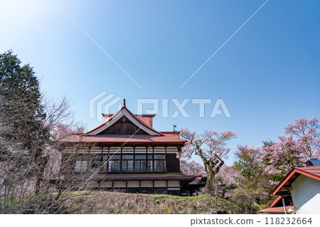 長野縣伊那市，高遠城跡公園，據說是全國最好的櫻花，櫻花盛開和高遠閣 118232664