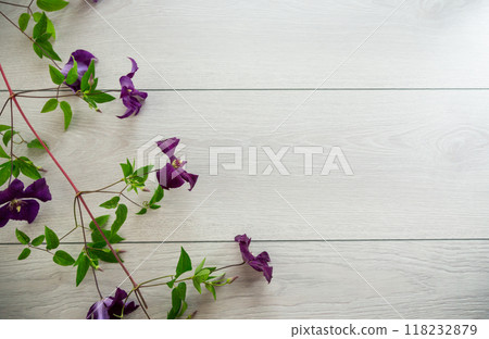 branch of blooming purple clematis, on a light wooden table branch of blooming purple clematis, on a light wooden table 118232879