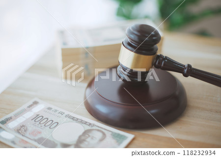 Money and auction hammer 118232934