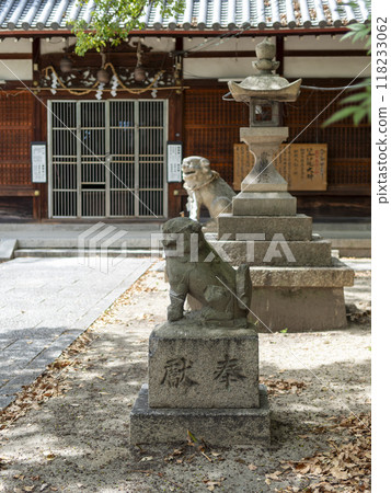 Guardian lion and stone lantern at Kawabe Hachiman Shrine Guardian lion and stone lantern at Kawabe Hachiman Shrine 118233062