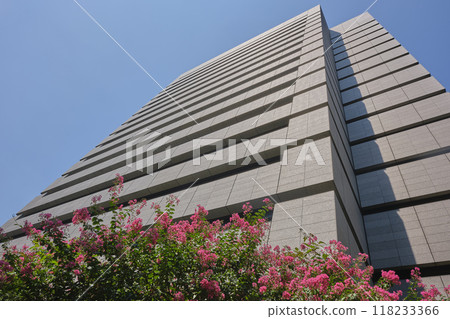 霞關專利事務所 霞關專利事務所 118233366