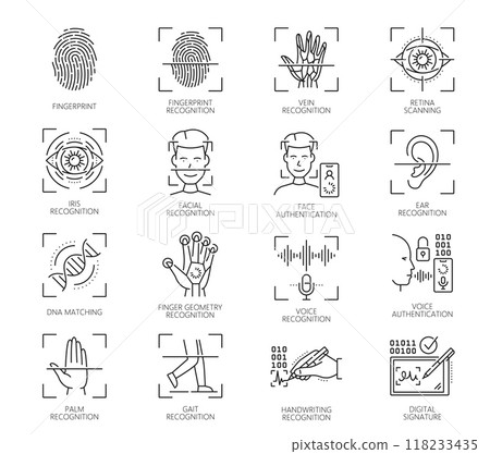 Biometric identification, recognition and verification icons of fingerprint, line vector. Face ID scan, identity authentication and digital authorization technology of biometric identification 118233435