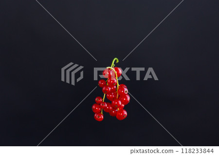 twigs of ripe red currants, isolated on a black background 118233844