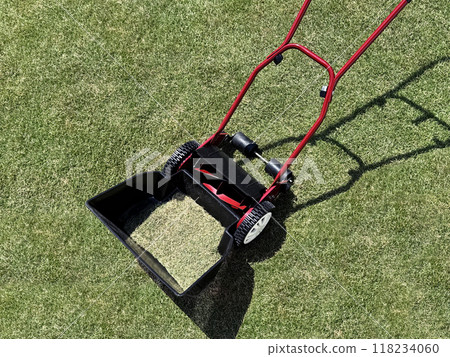 Grass cut at 2cm height and manual lawnmower 118234060