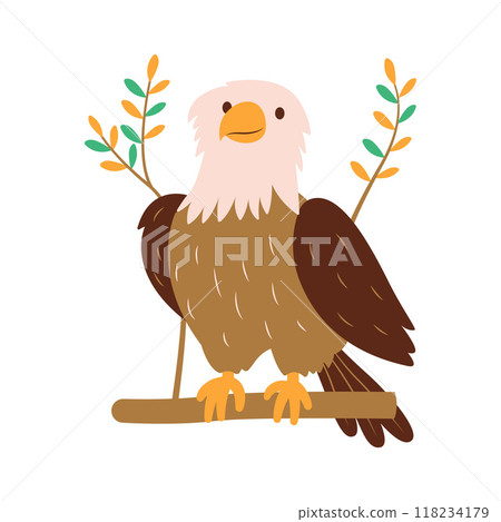 Cute Bald Eagle Hawk Falcon Bird Animal Perched on Tree Twig in the Jungle 118234179