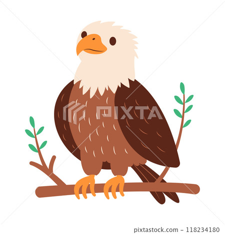 Cute Bald Eagle Hawk Falcon Bird Animal Perched on Tree Twig in the Jungle 118234180