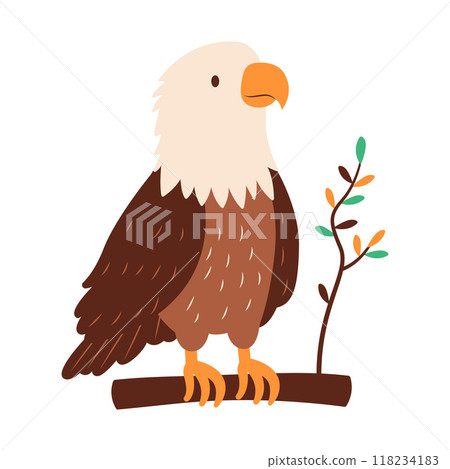 Cute Bald Eagle Hawk Falcon Bird Animal Perched on Tree Twig in the Jungle 118234183