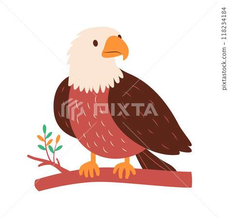 Cute Bald Eagle Hawk Falcon Bird Animal Perched on Tree Twig in the Jungle 118234184