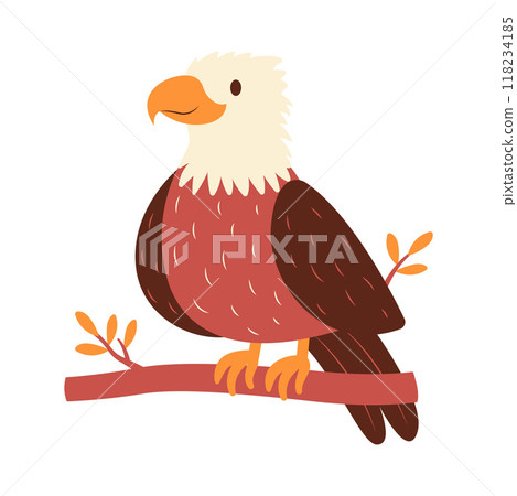 Cute Bald Eagle Hawk Falcon Bird Animal Perched on Tree Twig in the Jungle Cute Bald Eagle Hawk Falcon Bird Animal Perched on Tree Twig in the Jungle 118234185