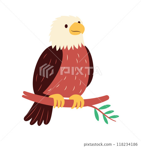 Cute Bald Eagle Hawk Falcon Bird Animal Perched on Tree Twig in the Jungle 118234186