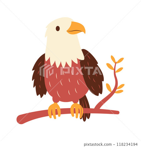 Cute Bald Eagle Hawk Falcon Bird Animal Perched on Tree Twig in the Jungle 118234194