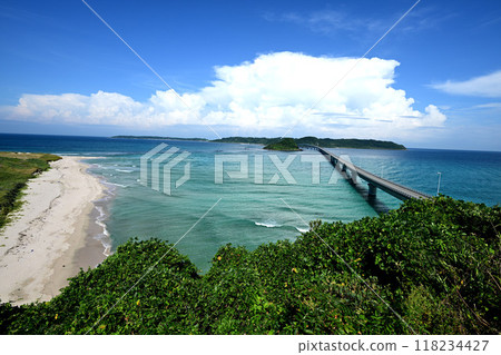 夏天Kakushima Ohashi 夏天Kakushima Ohashi 118234427