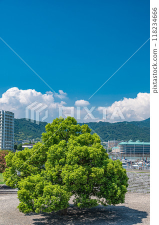 滋賀縣大津市濱大津公園風景 滋賀縣大津市濱大津公園風景 118234666