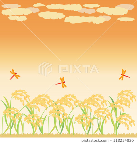 夕陽、紅蜻蜓、稻穗的秋天插畫，縱橫比1:1版本 118234820