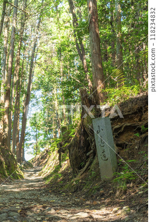 Stone monument on the Yamanobe road 118234832