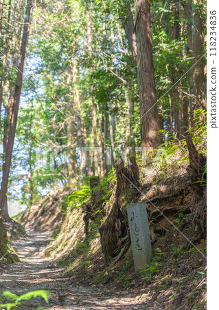 Stone monument on the Yamanobe road 118234836