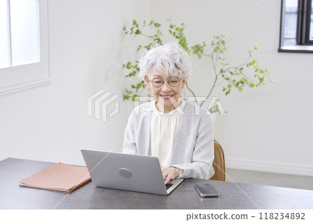 Elderly businesswoman working on laptop in office Elderly businesswoman working on laptop in office 118234892