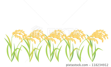 成熟的稻子和稻穗的插圖，縱橫比16:9版本 118234912