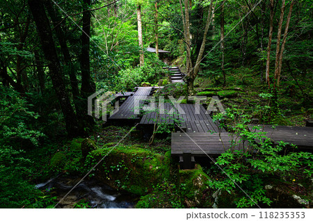 A walking trail through the forest: Tsukechikyo Fudo Park 118235353