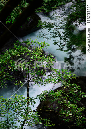 Valley scenery: Tsukechi Gorge Valley scenery: Tsukechi Gorge 118235365