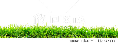 green grass turf isolated on white background 118236444