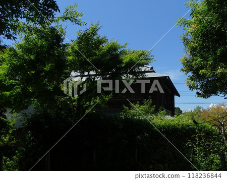 藍天和老建築 118236844