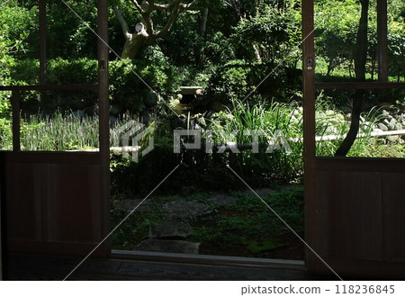 從陽台看後院 118236845