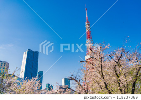 [Tokyo] Cherry blossoms at Shiba Park and Tokyo Tower 118237369